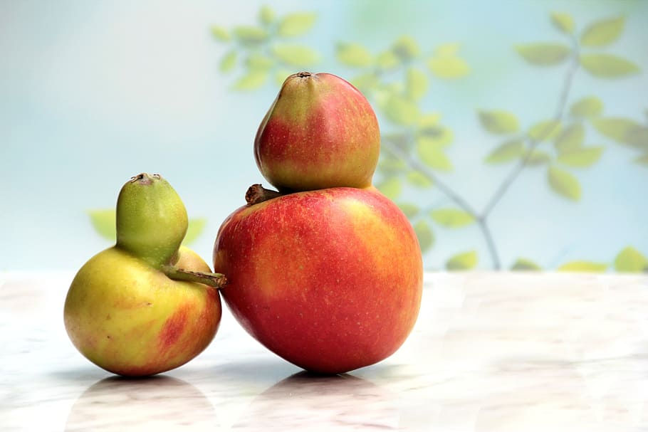 fruit, apple, gene defect, freak of nature, still life, healthy eating, HD wallpaper