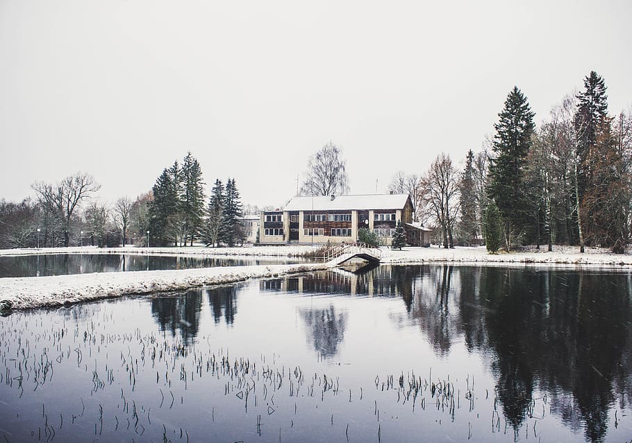 House Surrounding by Trees and Body of Water Photography, architecture HD wallpaper