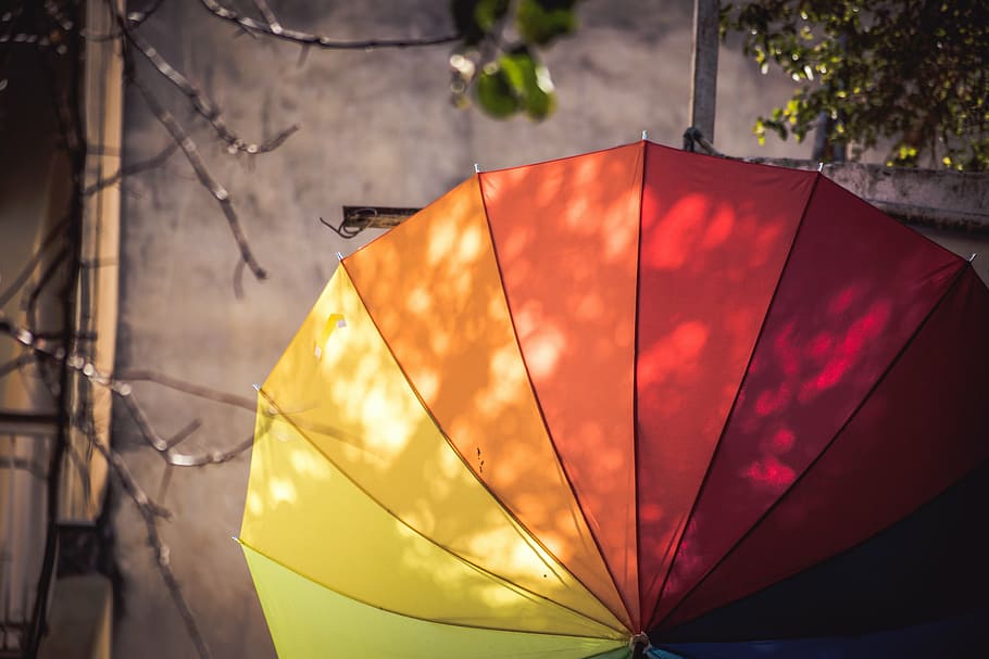 multicolored umbrella in closeup photography, nature, tree HD wallpaper