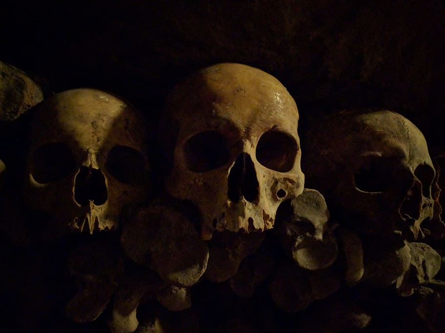 skull, the catacombs, bone, human skeleton, human skull, human bone HD wallpaper