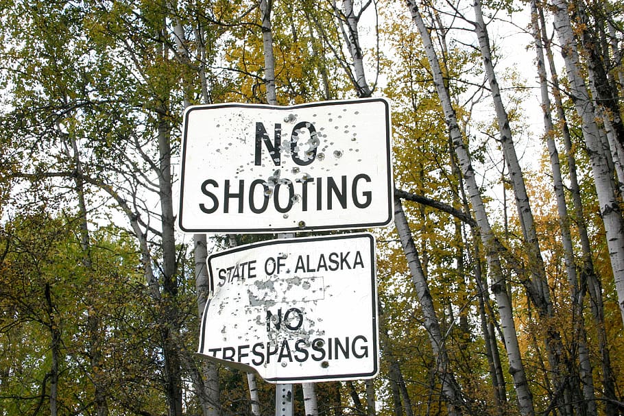 No Shooting sign, white and black No Shooting signage in the middle of forest, HD wallpaper