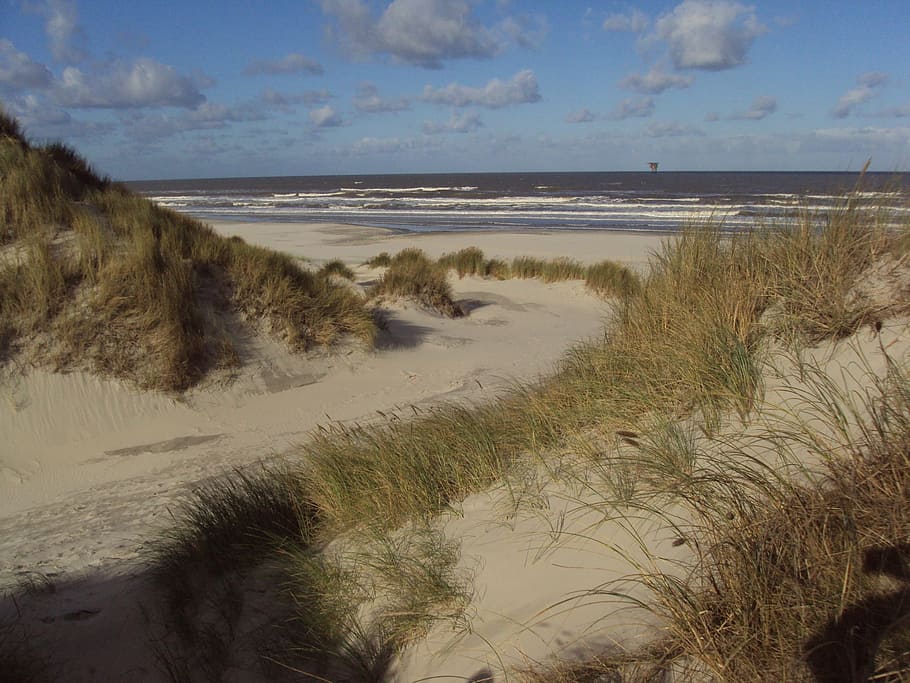 dunes, ameland, sand, water, sea, beach, sky, beauty in nature HD wallpaper