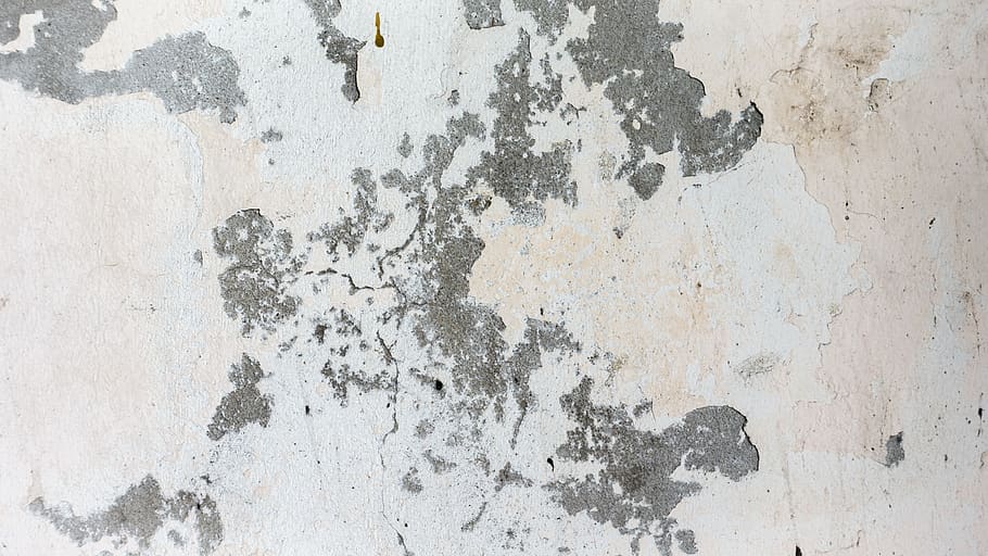background, texture, wall, paint, grunge, wall - building feature HD wallpaper