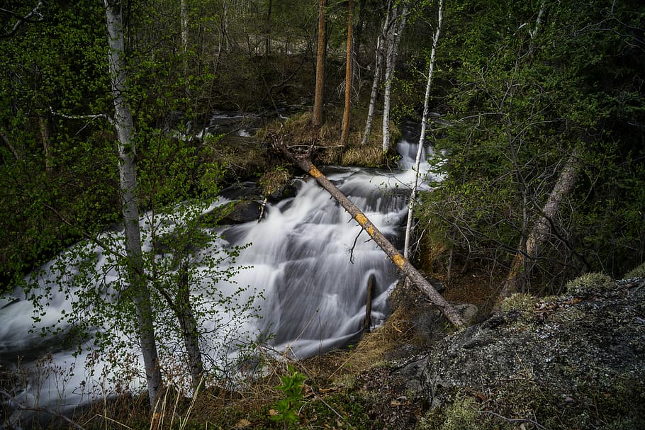 Trees and nature scenery of the smaller side of Cameron Falls HD wallpaper