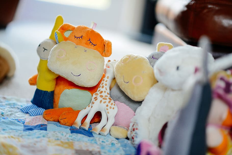 assorted plush toys on blue and brown textiles, cuddly, stuffed HD wallpaper