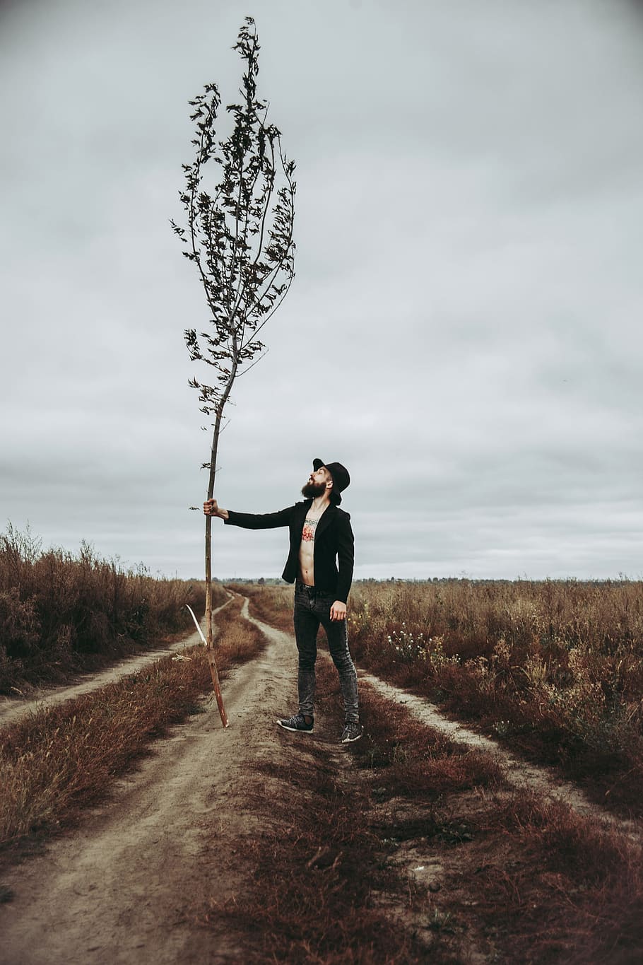 Tree, Roma, Man, Godot, Grey, Sky, Road, grey sky, tattoo, the model HD wallpaper