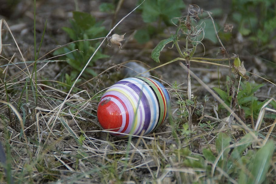 Easter Egg, Meadow, Spring, Easter Bunny, lost, hidden, striped HD wallpaper