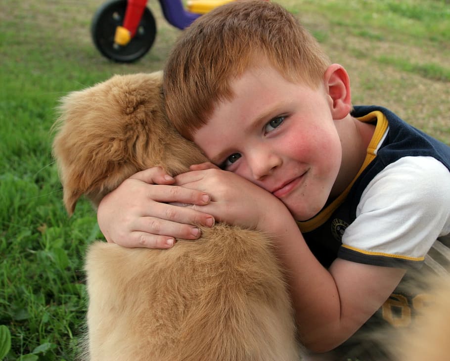 brown dog beside boy, puppy, love, cute, happy, friendship HD wallpaper