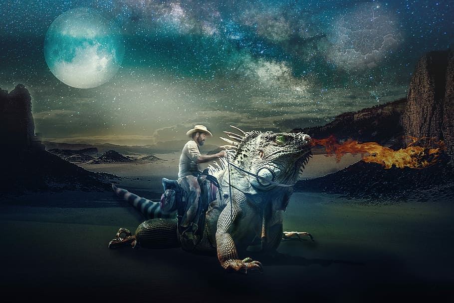 man riding on gray iguana painting, fantasy, a wild ride, composing HD wallpaper