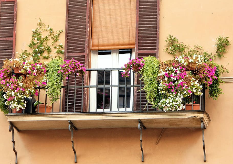 Romantic, Facade, Balcony, floral decorations, flower, window HD wallpaper
