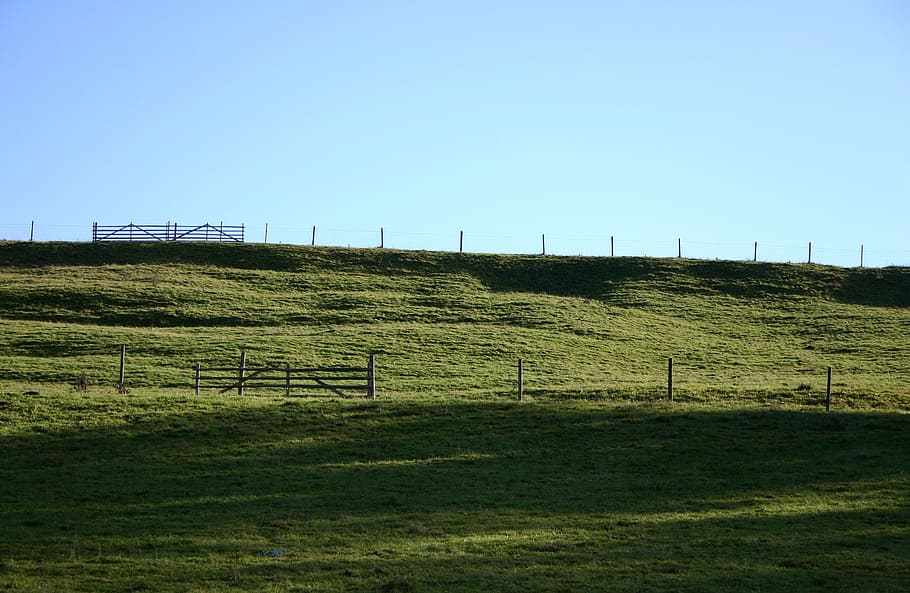 coupling, pasture, meadow, agriculture, fence, fenced, view HD wallpaper