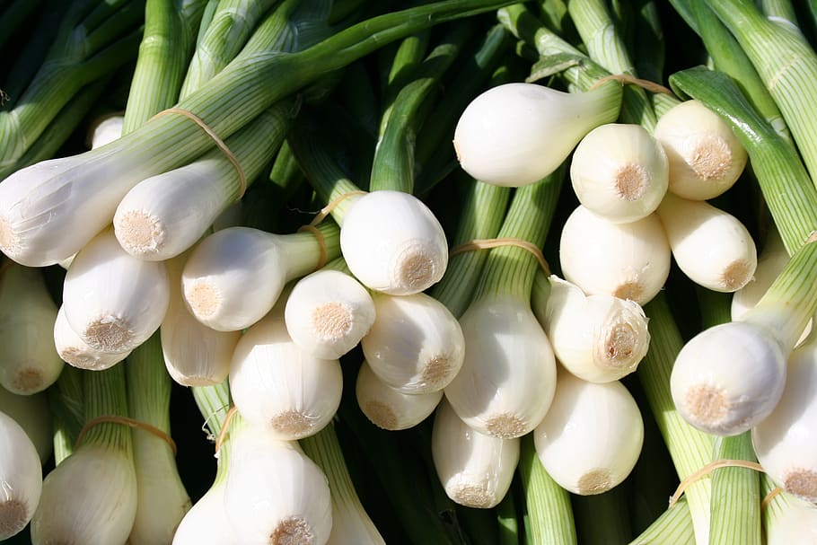 onion bunch, green, white, vegetables, white color, freshness HD wallpaper