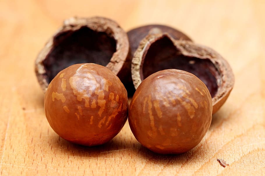 close up photo of round nuts, australian, background, broken HD wallpaper