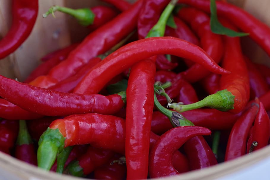 fresh, photo of bunch of chili, vegetable, food and drink, red HD wallpaper