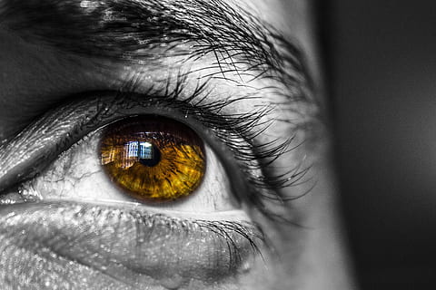 grayscale photo of person's brown iris, face, eye, eyelid, eyelash HD wallpaper