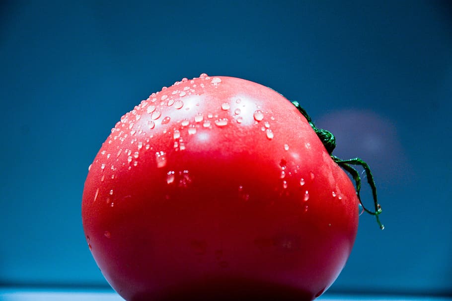 red, tomato, vegetables, food, food and drink, healthy eating HD wallpaper