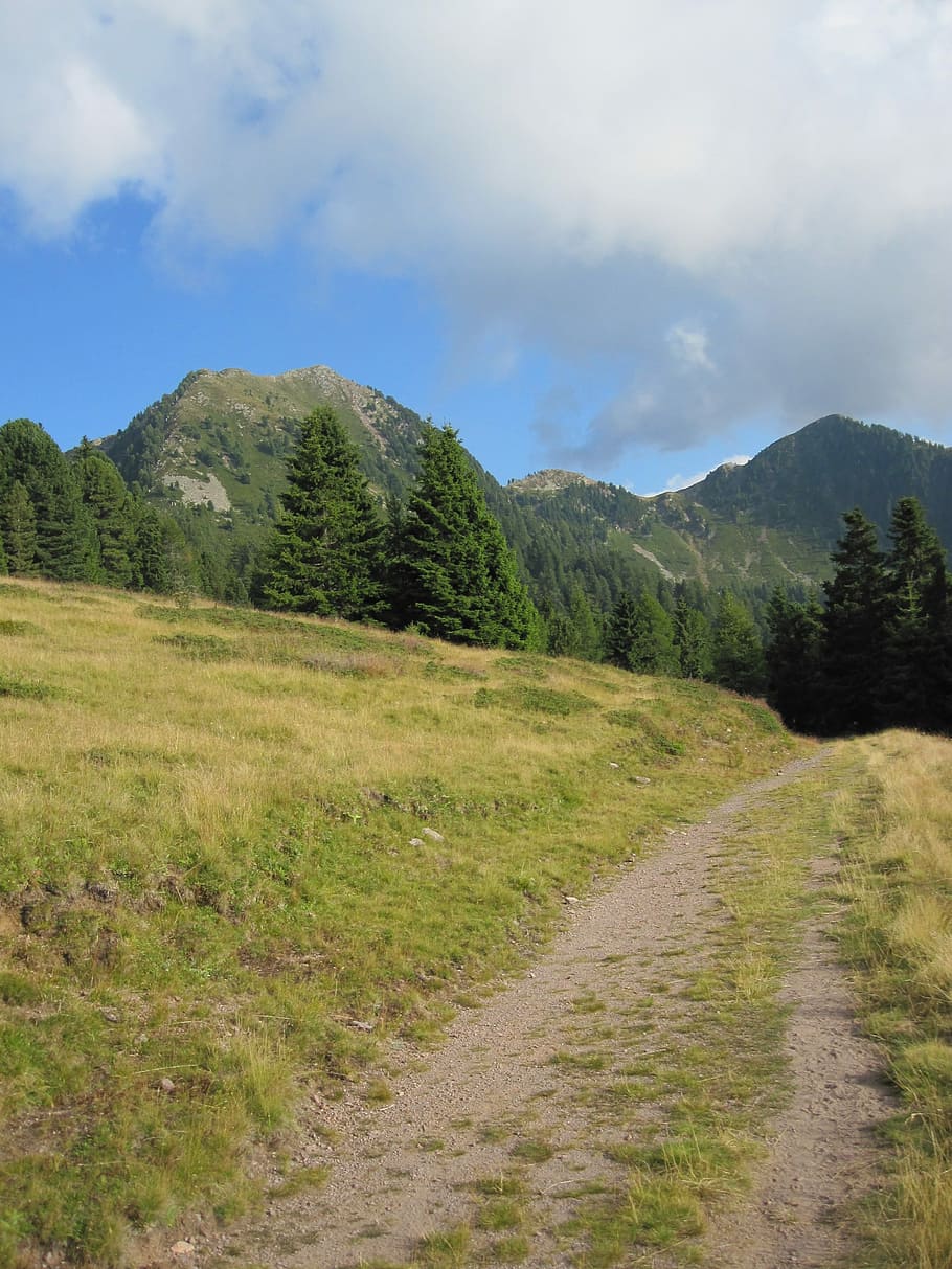 Landscape, Mountain, Sun, summer, cloud - sky, forest, tree HD wallpaper
