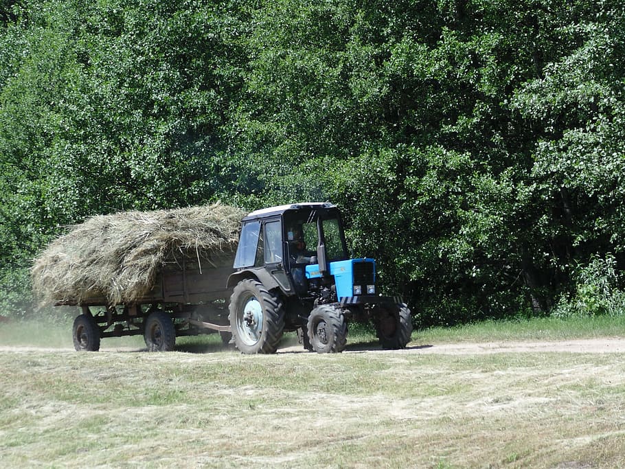 tractor, hay, forest, transportation, outdoors, day, working HD wallpaper