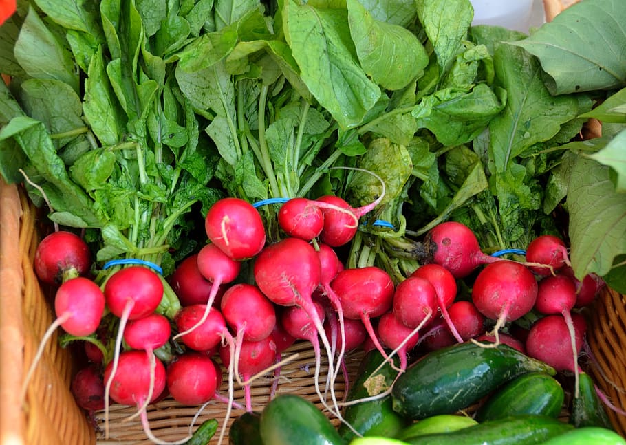 round red vegetable lot, red radish, for sale, sell, buy, outdoor market, HD wallpaper