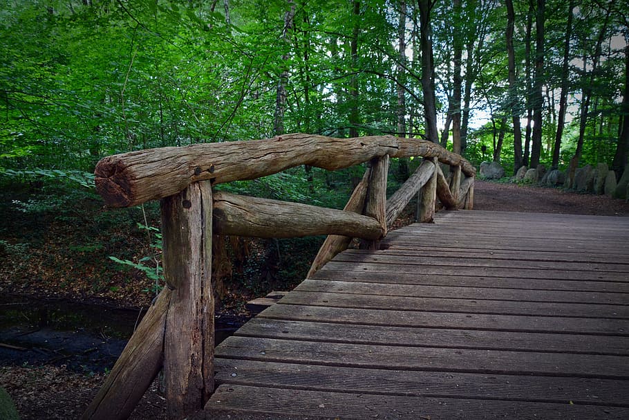 bridge, railing, forest, forest path, wood, web, transition HD wallpaper