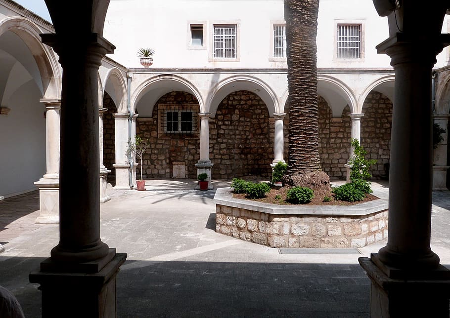 green leafed plant, Courtyard, Architecture, Church, Atrium HD wallpaper