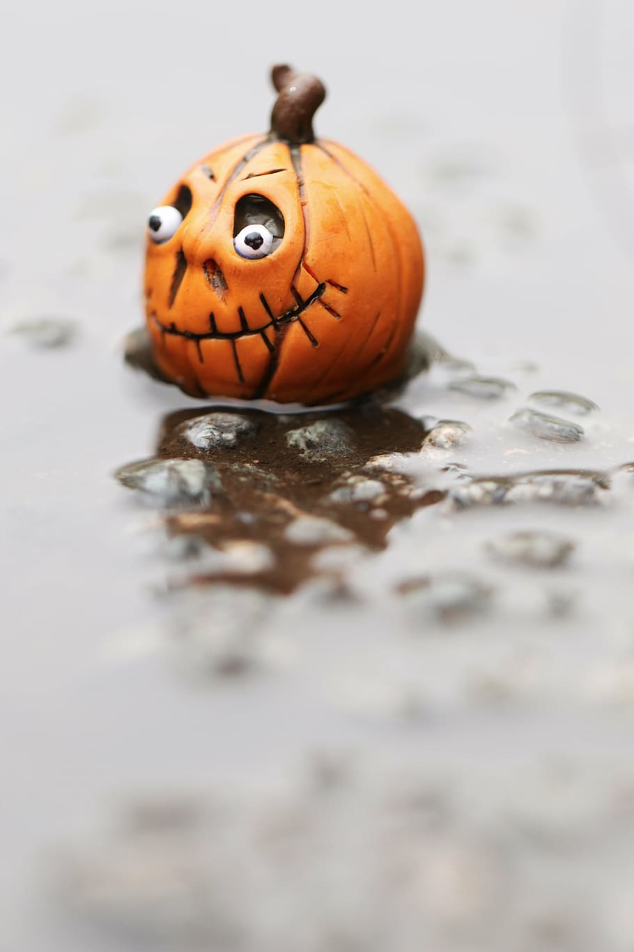 miniature, figure, pumpkin, tiny, small, orange color, no people HD wallpaper