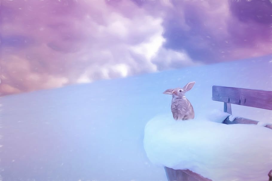 photo of gray rabbit on snowfield, painting, painted, drawing
