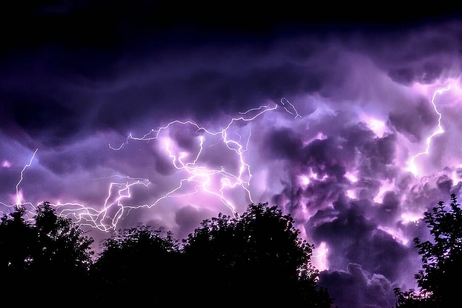 silhouette of trees and purple lightning, low-angle photography of thunder HD wallpaper