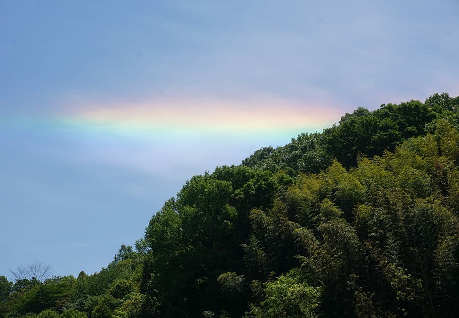 Sky, Rainbow, Day, Huang, during the day, red, green, blue HD wallpaper