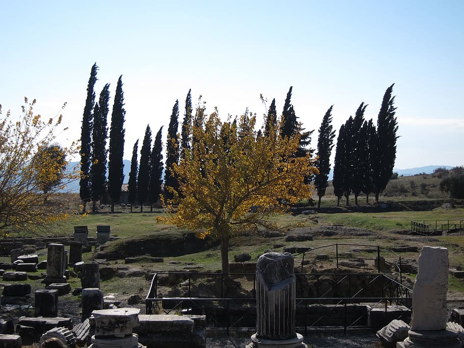 Asklepion, History, Tree, Rock, Ancient, greek, building, destruction HD wallpaper