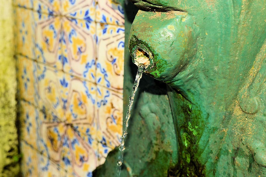 architecture, old fountain, water, one animal, vertebrate, animal themes HD wallpaper