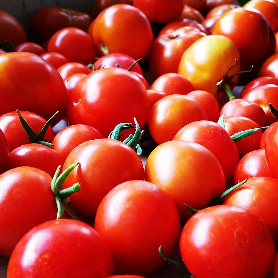 fruits and vegetables, tomatoes, red, vegetarian, agriculture HD wallpaper
