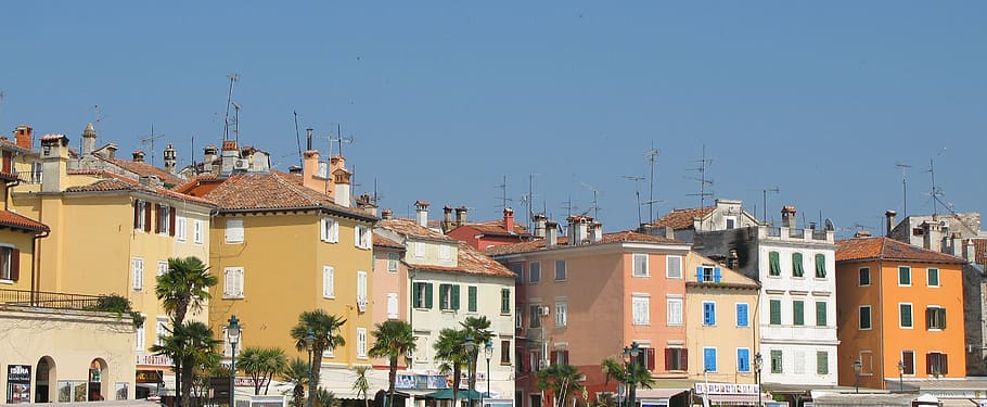istria, rovinj, croatia, homes, antennas, port, colorful, palm trees