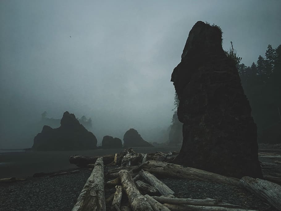 brown logs on road, brown logs near big rock outside, driftwood HD wallpaper