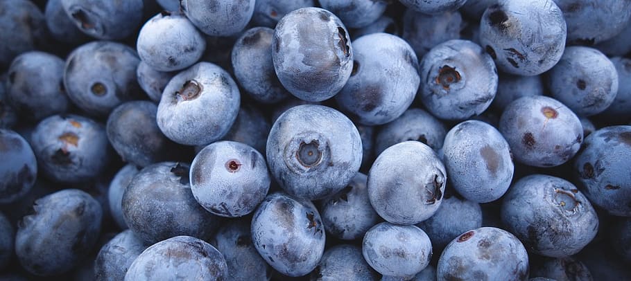pile of blueberries, berry, fruit, fruits, health, greet, nature HD wallpaper
