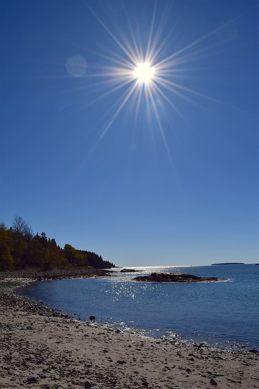 shore, sun, beach, ocean, pine trees, maine, nature, water HD wallpaper