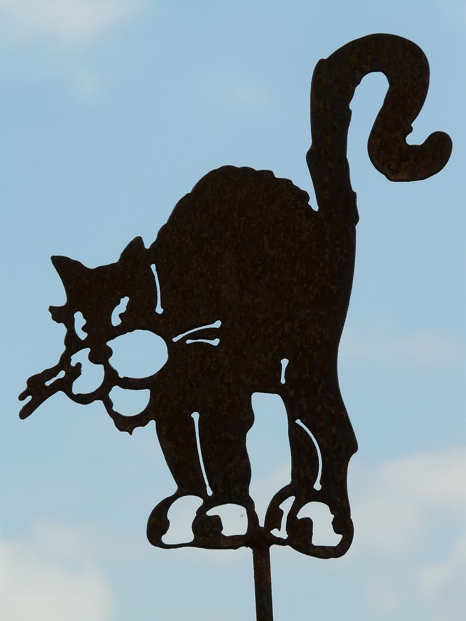cat, figure, mieze, animal, creature, illustration, sky, art and craft HD wallpaper