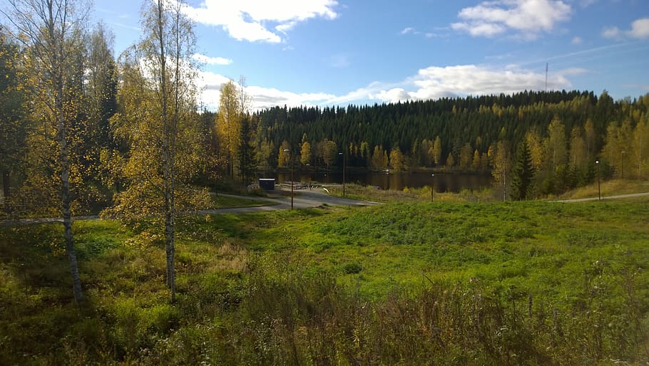 Summer, Rural, Landscape, Field, Forest, finland, outdoor, day HD wallpaper