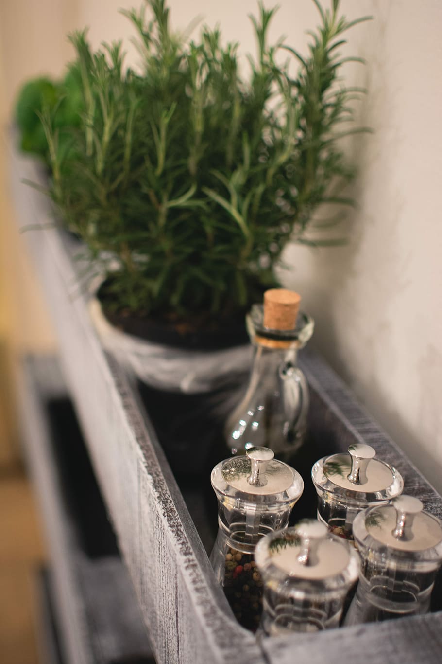Shelf with spices, close up, herbs, plant, wood - Material, nature HD wallpaper