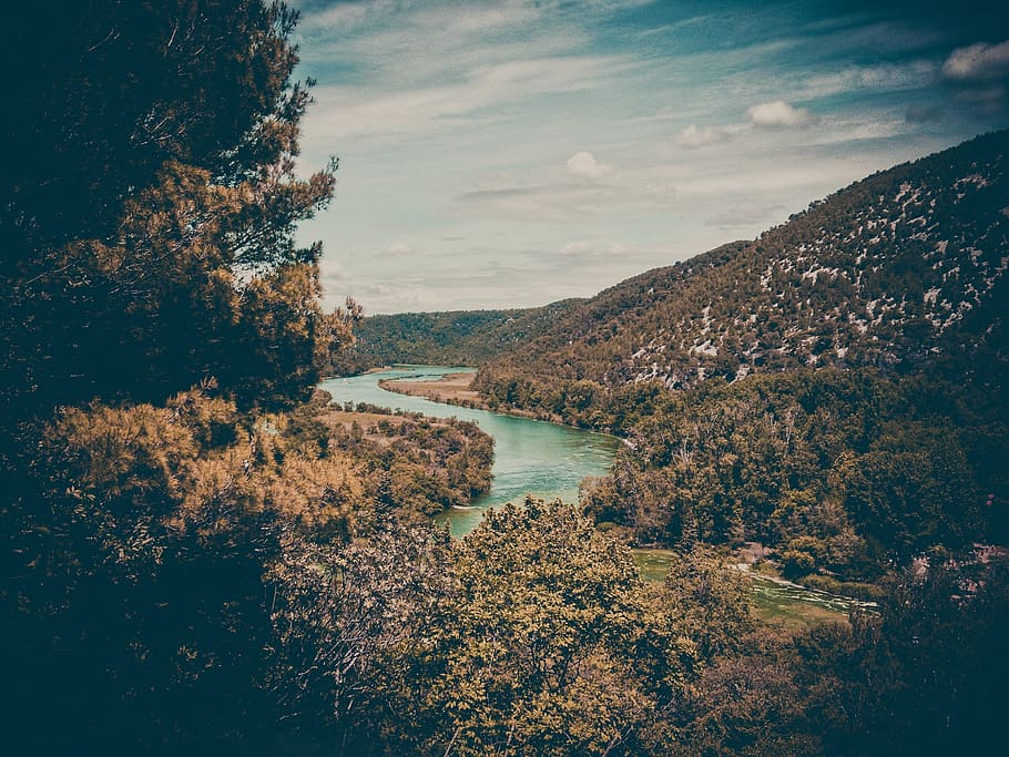 trees, plants, nature, mountain, landscape, view, lake, water HD wallpaper