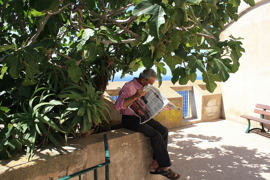 old man, tree, shadow, read newspaper, morning, relax, lesure time HD wallpaper