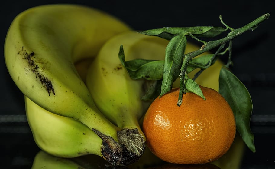 frisch, vitamins, fresh fruit, fruits, benefit from, food, food and drink HD wallpaper