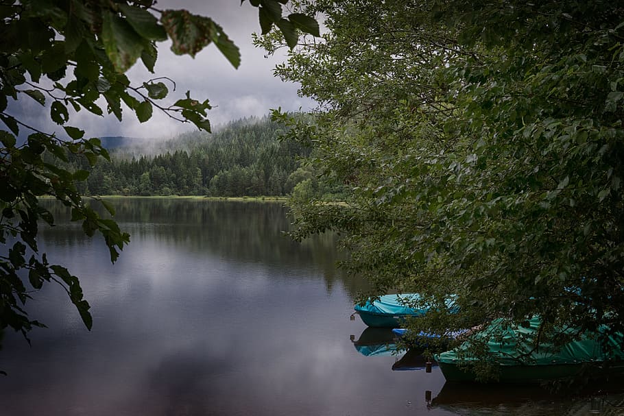 nature, sky, clouds, boats, environment, foggy, forest, hazy HD wallpaper