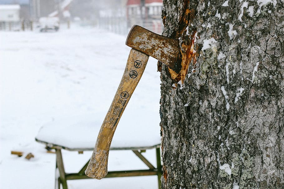 axe sticked on tree trunk, brown handle hatchet, chop, outdoor HD wallpaper