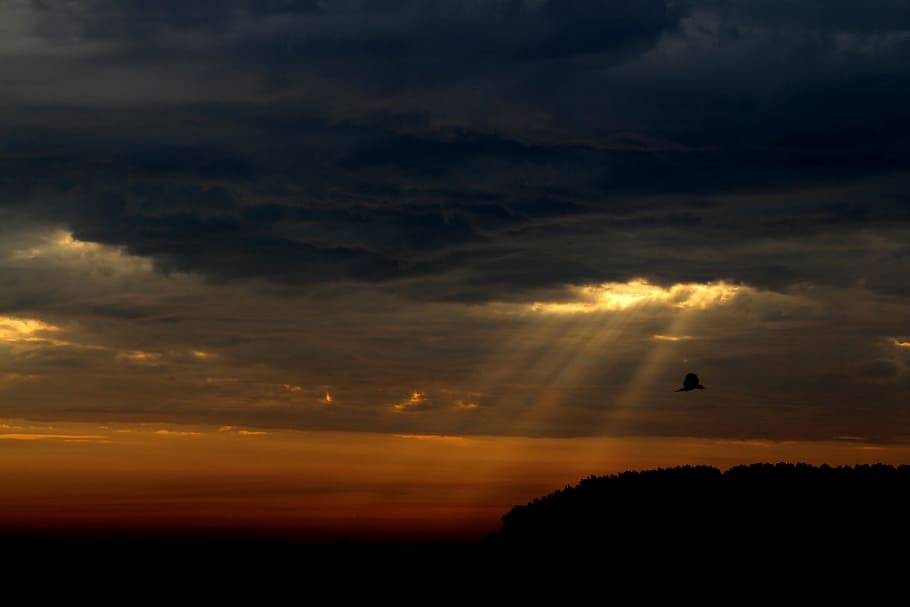 crepuscular;ar rays, sky, cloud, twilight, storm, birds, landscape HD wallpaper
