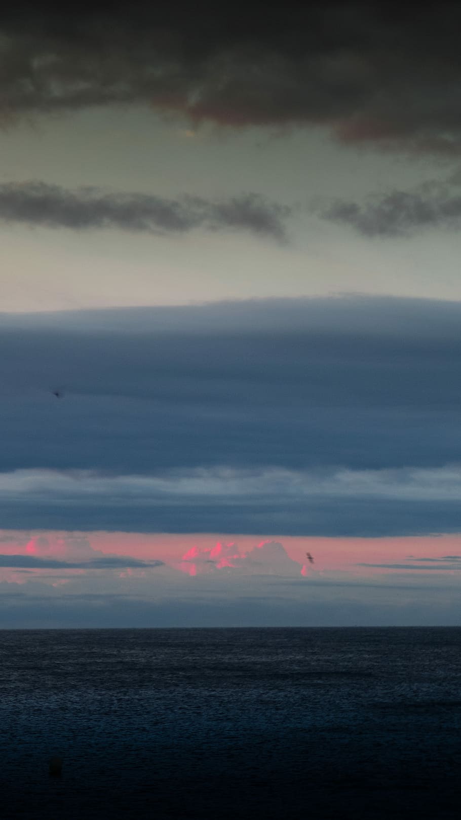 sunrise, calm sea on horizon at daytime, sunset, pink, cloud HD wallpaper