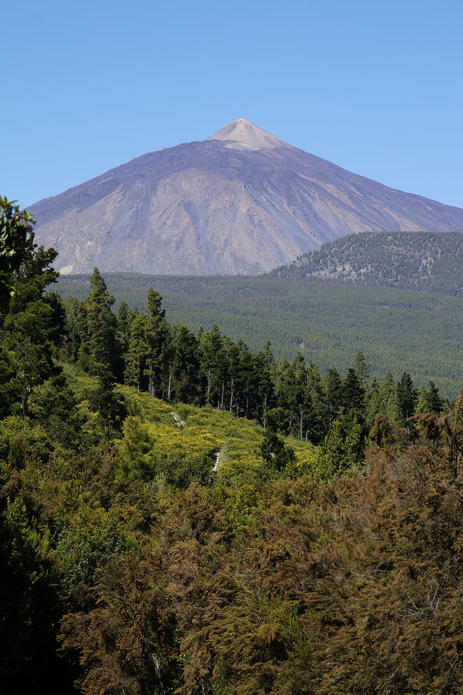teide, tenerife, volcano, highest mountains, nature, hike, teide national park HD wallpaper