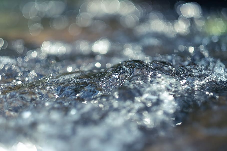 close up photo of water, shallow focus photography of water, drop HD wallpaper