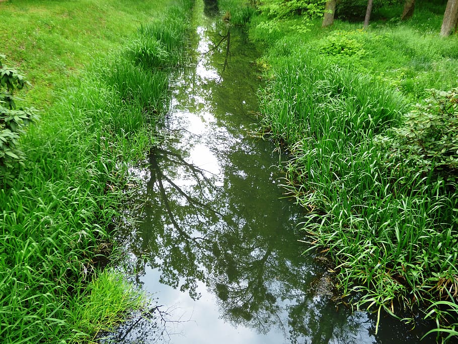 river, the brook, torrent, forest, nature, forests, stream HD wallpaper