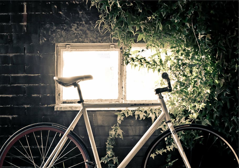 white road bike park near window with green plants, bicycle HD wallpaper